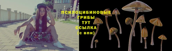 ГАЛЛЮЦИНОГЕННЫЕ ГРИБЫ Абдулино