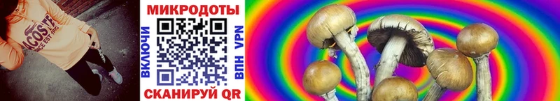 Псилоцибиновые грибы GOLDEN TEACHER  Трубчевск 